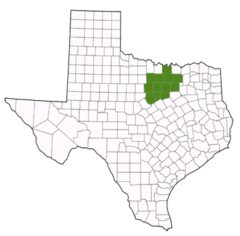 County Map